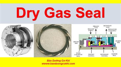 dry gas gas seal inspection